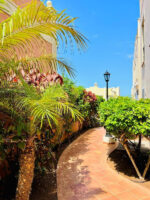 Enjoy 1 BR Palm Mar next to pool - Image 23