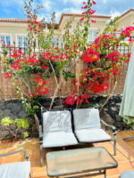 Enjoy 1 BR Palm Mar next to pool - Image 18